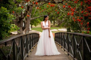 Ombre tulle dress